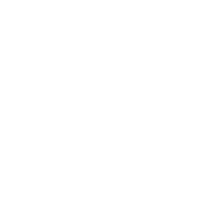 EverFlow Digital — chouette circuit